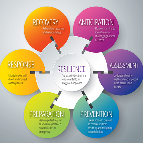 Organisational resilience*Anticipation, assessment, prevention, preparation,response and recovery – these are the vital areas that any organisation should be looking at when considering its resilience, says Roger Gomm