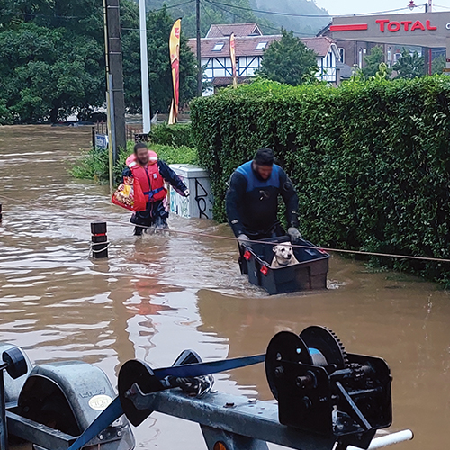 Frontline: Animal disaster rescue*Claire Sanders speaks to Professor Hugues Guyot about his work in veterinary disaster medicine and the response to the floods in Belgium, July 2021