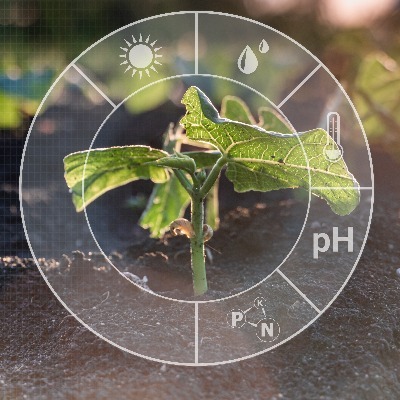 New AI tool uses satellites to forecast African crop yields, aids climate resilience 
May 2023: AI-powered satellite tool revolutionise African agriculture, predicting crop yields to tackle climate change and boost food security