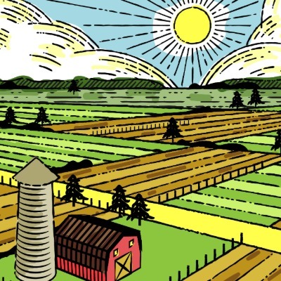 Some systems cannot pause: A playbook for agrifood supply chain resilience*Agrifood supply chains are unique, complex, and critical during crises and disruptions. They cannot be shut down and restarted without immediate human consequences, notes Alireza Asgari