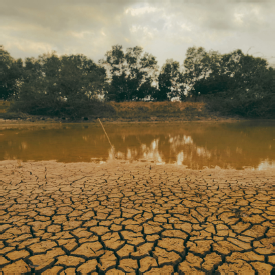 When the rain returns, why doesn’t groundwater?*October 2026: A global study led by hydrologist Sandra Hauswirth found that groundwater that fails to recover after drought can put water supplies and food production at risk 