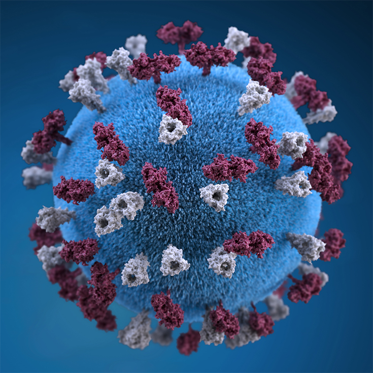 measles image