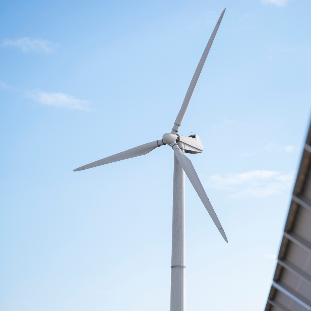 Wind and solar power the UK through gas price crisis
