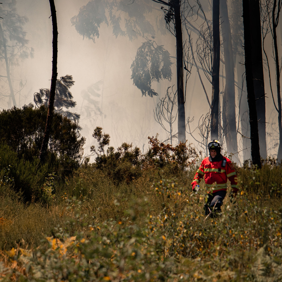 Before the next fire